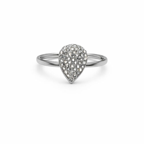 Shiny Silver Ring